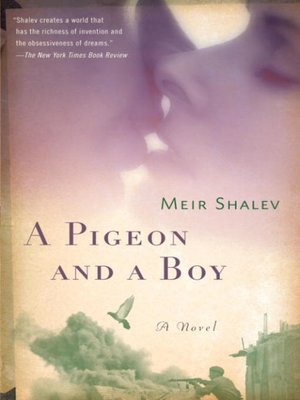 cover image of A Pigeon and a Boy